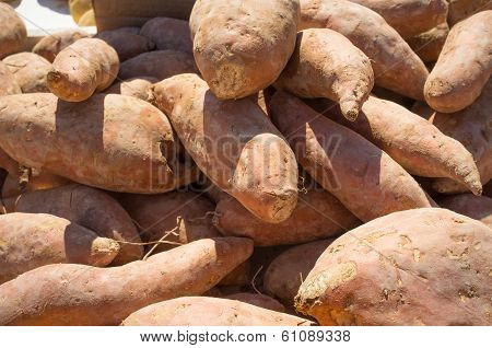 Sweet Potatoes