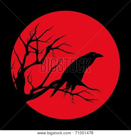 Red Moon Raven