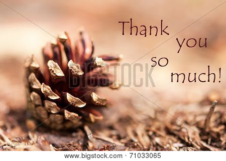 Fir Cone With Thank You So Much