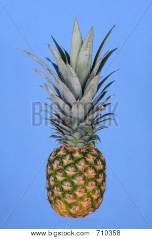 Piña