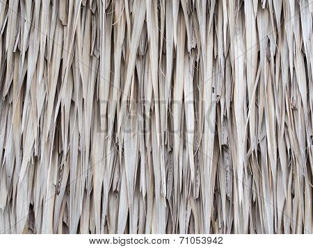 Thatched Roof Texture Background