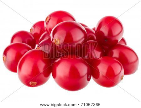 cranberry  isolated on white background cutout
