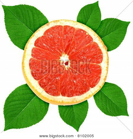 Single dwarsdoorsnede van de druif-fruit met groen blad