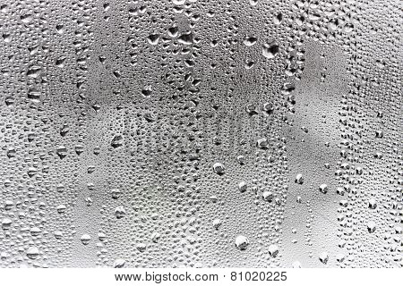 Misted Window Glass