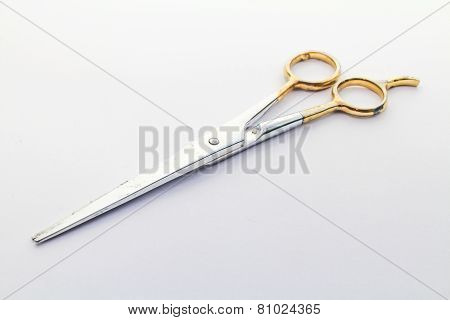 Scissors