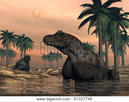Keratocephalus dinosaurs - 3D render