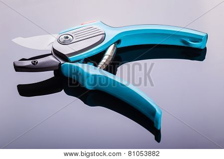 Blue Garden Secateurs