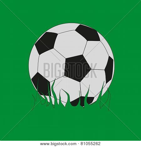 Soccer Ball On The Grass