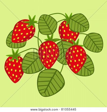 Strawberry Bush