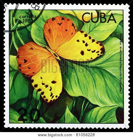 Vintage  Postage Stamp. Butterfly Phoebis Avellaneda.