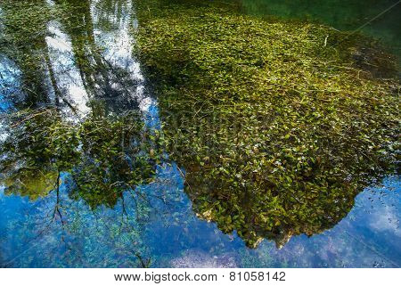 Reflections In The Lake At Monasterio De Piedra, Zaragoza, Aragon, Spain