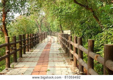 Pathway in forest with wooden side rails