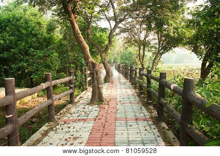 Pathway in forest with wooden side rails