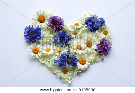 Cuore di fiori selvatici