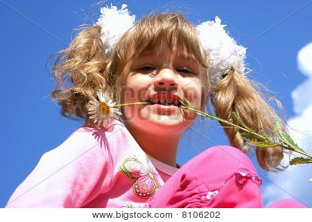 La ragazza con una camomilla