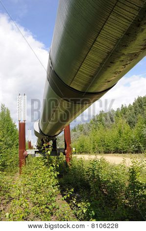 Trans Alaska petrol boru Fairbanks City yakınındaki seçme oteller