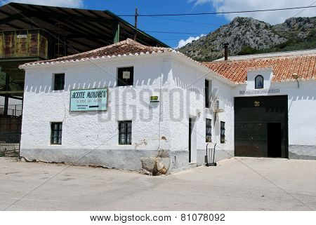 Olive oil press factory.