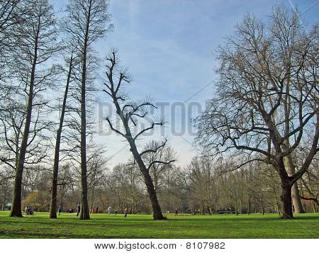 Park Amsterdamissa