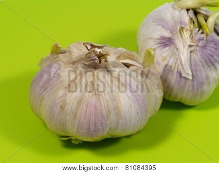 Garlic bulbs on a green cutting board