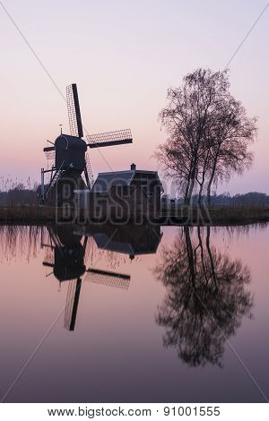 Mill And Tree At Woerdense Verlaat