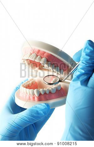 White fake teeth in hand of dentist, isolated on white