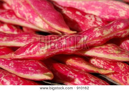 ปิดฝักถั่ว Borlotti