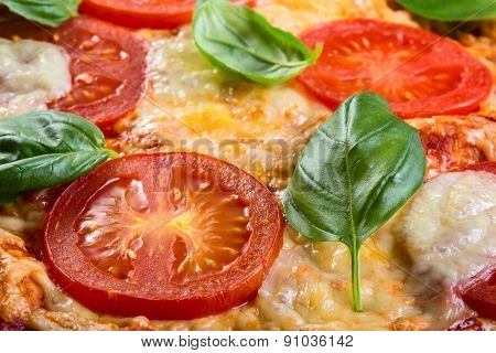 Pizza Margarita