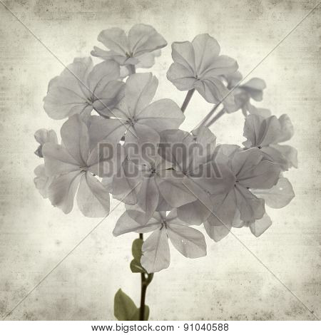 Textured Old Paper Background