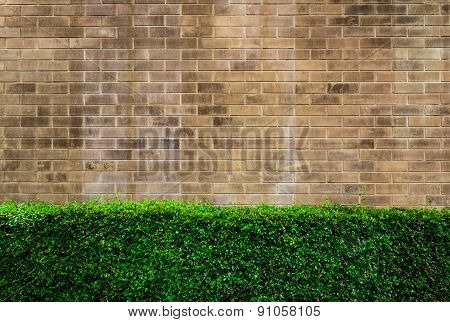 Vintage Style Decorative Brown Brick Wall With Plant