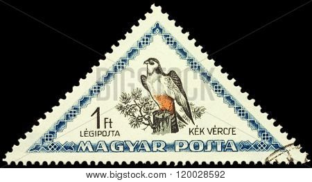 Red-footed Falcon (falco Vespertinus) On Postage Stamp
