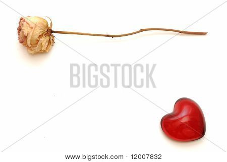 Kurutulmuş Rose Petal ve kalp