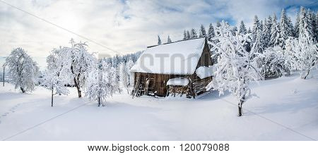 beautiful wooden house in a winter sunny day
** Note: Soft Focus at 100%, best at smaller sizes