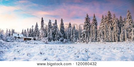 beautiful wooden house in a winter sunny day