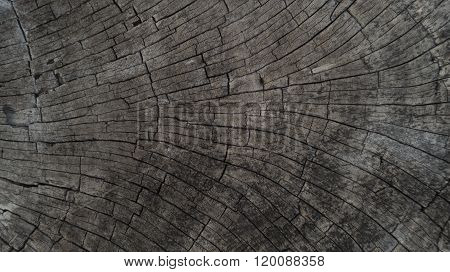 Wood Background