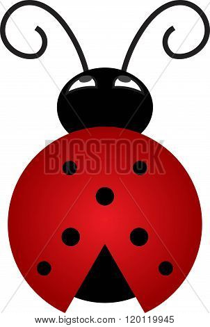 Ladybug Vector Illustration