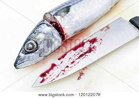 Fresh saba fish and chef's knife