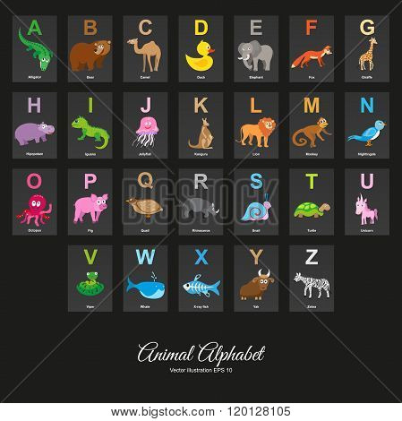 Animal English Alphabet