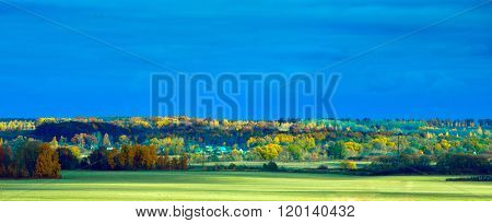 Bright autumn forest lanscape