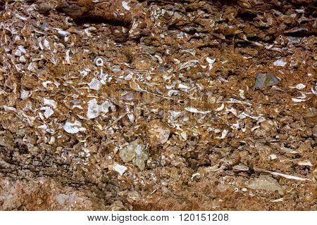 ossuary prehistoric in Cueva Calaveras of Benidoleig at Alicante Spain