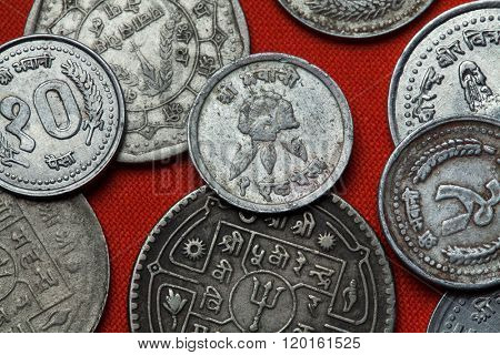 Coins of Nepal. Rhododendron flower depicted in the Nepalese 10 paisa coin.