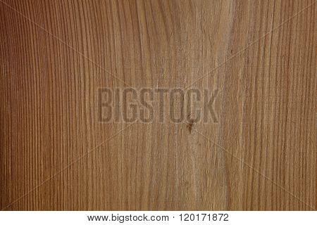 Exotic venner wood grain for textures and layering