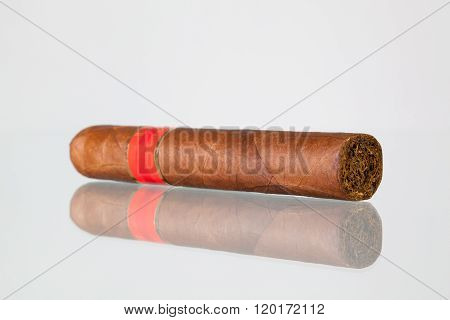 One cigar on a glass table and white background