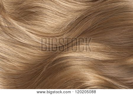 Long Blond Human Shiny Hair