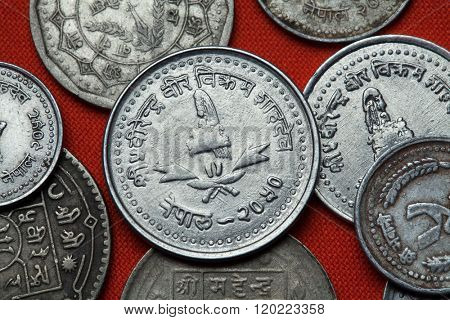 Coins of Nepal. Nepalese royal crown depicted in the Nepalese 25 paisa coin.
