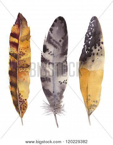 Hand drawn watercolor feather set. Boho style. illustration isol