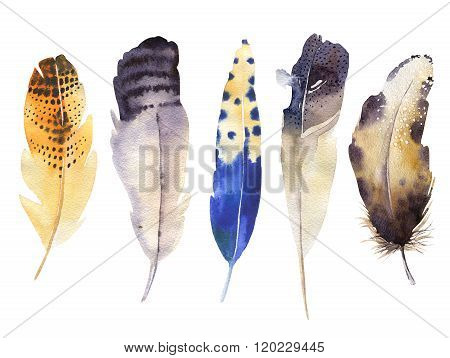 Hand drawn watercolor feather set. Boho style. illustration isol