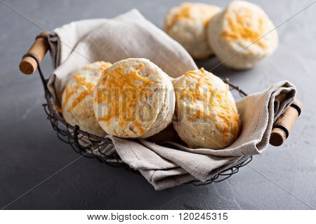 Homemade buttermilk biscuits with cheddar cheese