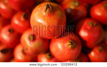 Pomegranate