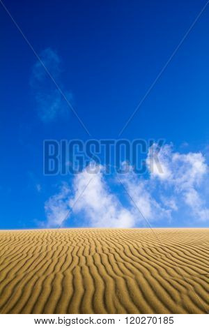 Natural Untouched Golden Sand Dune Ripples With Blue Sky
