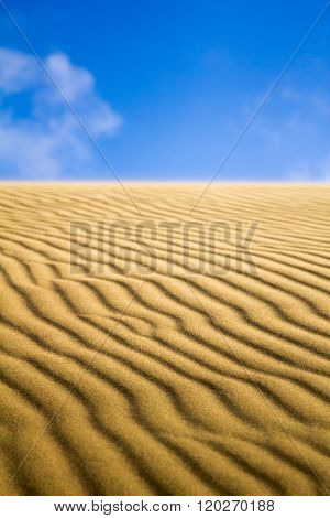 Natural Untouched Golden Sand Dune Ripples